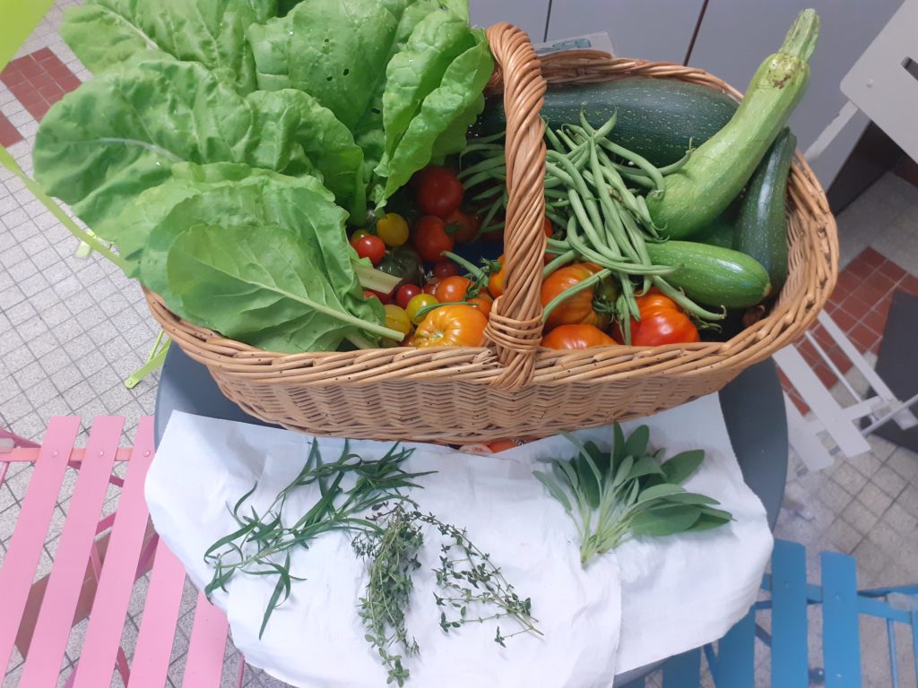 Récolte jardin partagé